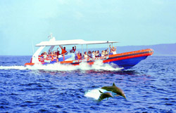 bali hai cruise, bali hai cruise nusa lembongan, bali hai, day cruise, evening cruise