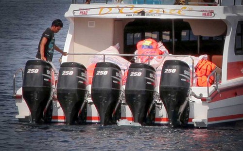 D'Camel Engine D'Camel Engine, lembongan fast boat, lembongan transfe, lembongan beach